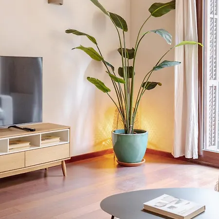 New Charming & Cozy Gem Location * Barcelona